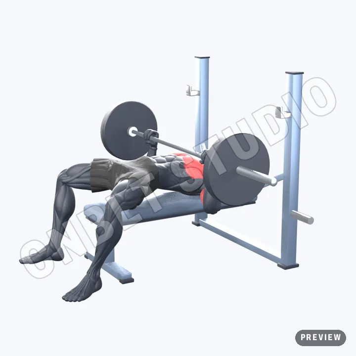 Barbell Bench Press — CNBLT Studio exercise animation